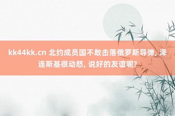 kk44kk.cn 北约成员国不敢击落俄罗斯导弹， 泽连斯基很动怒， 说好的友谊呢?