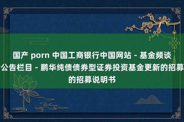 国产 porn 中国工商银行中国网站－基金频谈－基金公告栏目－鹏华纯债债券型证券投资基金更新的招募说明书