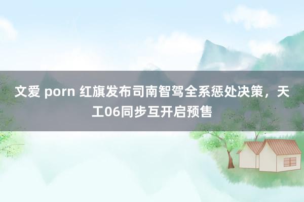 文爱 porn 红旗发布司南智驾全系惩处决策，天工06同步互开启预售