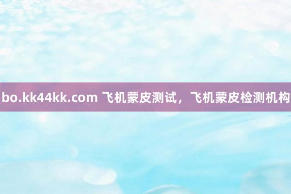 bo.kk44kk.com 飞机蒙皮测试，飞机蒙皮检测机构