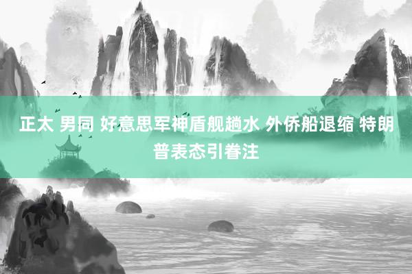 正太 男同 好意思军神盾舰趟水 外侨船退缩 特朗普表态引眷注